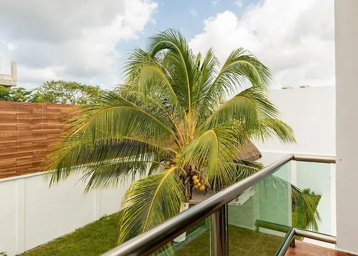 Casa Palancar With Beautiful Swimming Pool And Private Palapa * Cozumel